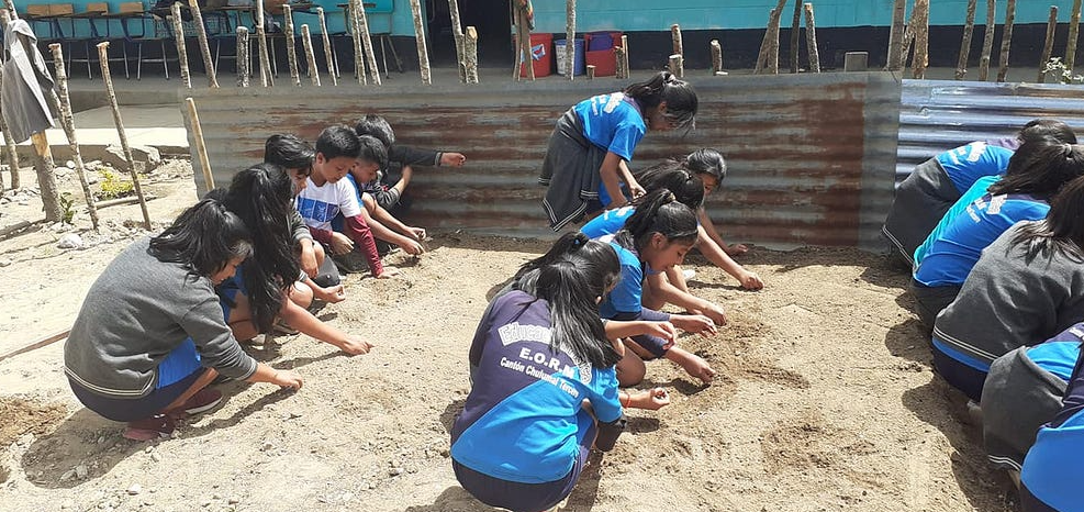  Proyecto de huertos en escuelas. Fotos: Senacri 